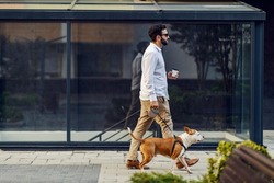 A businessman dressed in a white shirt holding coffee to go and walking his dog. A businessman on a lunch break with his dog