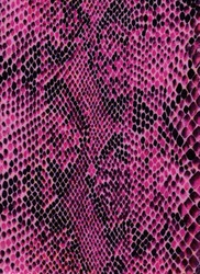 Violet snake skin with pattern, reptile