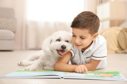 Little boy and bichon frise dog reading book at home