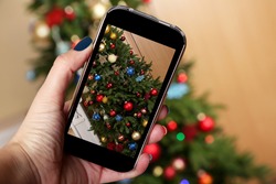 Hand taking photo of Christmas tree by smartphone