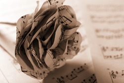 Single white paper-made rose on musical notes pages background