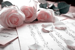 Beautiful roses on music notes background