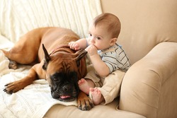 Little baby boy with boxer dog on a couch at home