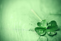 St. Patricks day,  clover leaf on green wooden background