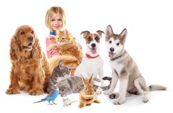 Happy girl with cute pets on white background