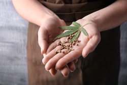 Young woman holding hemp seeds on grey background, closeup