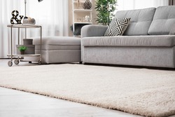 Modern living room interior with cozy sofa and soft carpet