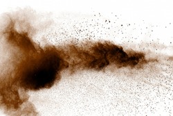 Explosion of brown dust on white background. Dry soil explosion on white background.