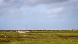 Eider duck breeding area at reykjanes , iceland in summer with a stranded boat