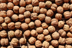 Walnut texture pattern. Many walnut exposed to the sun - drying. Healthy food background