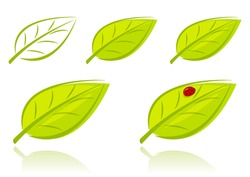 Vector set of green leaves, eco concept