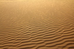 sand in desert - background