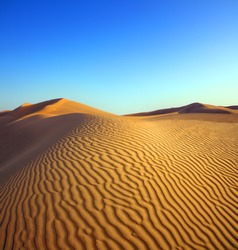 beatiful evening landscape in desert