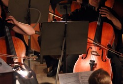 close-up view on two violoncello in orchestra
