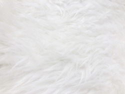 White long hair fur for background or texture