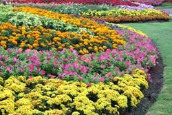 Beautiful Landscaped flower garden background 