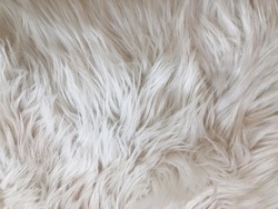 White long hair fur for background or texture