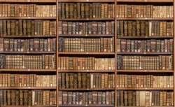 Defocused and blurred image of old antique library books on shelves for use in video conferencing background