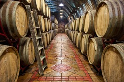  Wine cellar with a row of oak barrels                  