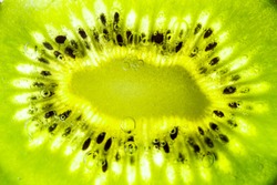 Sliced Kiwi with water bubbles close up macro.