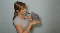 CLOSE UP: Young Caucasian woman lets her gorgeous African grey parrot sit on her finger while feeding it. Adorable shot of a female owner talking to her beautiful parrot and feeding it tiny treats.