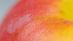 MACRO, DOF: Detailed shot of a ripe organic peach sitting on the dining table. Delicate fuzz covers the skin of an organic peach. High detail close up view of a juicy peach. Delicious summer fruit.