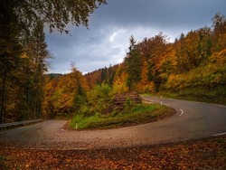 Paved road curve covered with fallen colorful forest leaves after autumn rain. Autumn leaves lying on wet asphalt road leading through forested hillside in vibrant colors of fall season on a rainy day