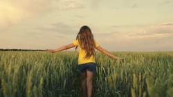 Free girl jogs cheerfully across the wheat field in summer. Happy young girl runs on a green wheat field. A teenager dreams of flying and holds his hands like the wings of an airplane. Childhood