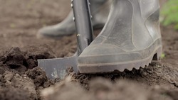 Worker works ground with shovel tool. Farmer digs ground with shovel in his garden. Close-up. Concept of organic farming. Land work, tillage. Grow food on ground. Ecological vegetable growing.