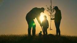 Farmer dad, mom child planting tree. Happy family team planting tree in sun spring time. Silhouette of family with tree at sunset. Family with shovel and watering can plants young trees sprout in soil