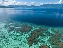 A healthy coral reef thrives off the Pulau Besar north of Flores, Indonesia. This region is known for its high marine biodiversity and spectacular scuba diving and snorkeling.