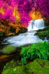 Beautiful amazing waterfall in colorful autumn forest