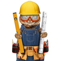 Funny cat is wearing a suit of builder. Craftsman on the white background. 
It is holding a builder's level and project plan. 