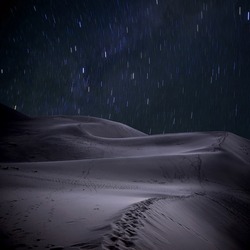 Desert under the stars