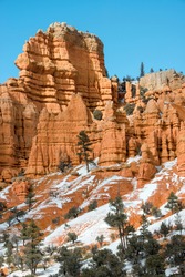 USA, Utah. Spring snow in Red Canyon, Dixie National Forest.