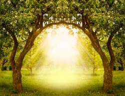 Fantasy apple trees garden with natural arch entrance and sun rays, magical door gates in fabulous green forest, environmental eco background with empty copy space, mysterious summer nature backdrop