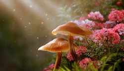 Magical fantasy mushrooms in enchanted fairy tale elf forest with fabulous fairytale blooming pink rose flower garden on mysterious background and shiny glowing stars and sun rays in the morning