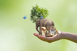 World Animal Day or Wildlife Day concept. Elephant, tiger, deer, parrot and green tree in human hand. Saving planet, protect nature reserve, protection of endangered species and biological diversity.