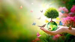 Earth Day or World Environment Day concept. Save our Planet, protect Green Nature and planting trees theme. Growing thuja on globe in hand, ladybugs and flock of many flying colorful butterflies.