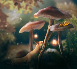 Squirrel (Sciurus vulgaris) and Fantasy magical Mushrooms glade with glowing lanterns in enchanted fairy tale elf Forest, cute animal in fairytale deep dark wood in night, mysterious nature background