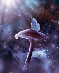 Fantasy mushroom and blue butterfly in fairy tale dreamy elf forest, fabulous fairytale deep dark wood and moon rays in night, mysterious nature background with magical glade in first winter snow.
