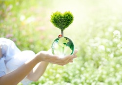 Earth Day or World Environment Day, environmentally friendly and ecology concept. Save clean Planet, restore and protect Green Nature themes. Tree in heart shape grows on globe and ladybug in hands.