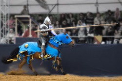 Knights tournament. Horseman with a spear