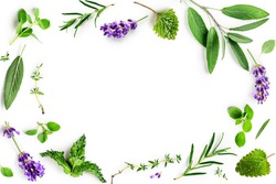Rosemary, mint, lavender, marjoram, sage, lemon balm and thyme set. Creative frame with fresh herbs on white background. Top view, flat lay. Healthy eating and alternative medicine concept
