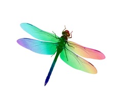 Digital illustration of a dragonfly with rainbow of colors. Created from an original photograph.