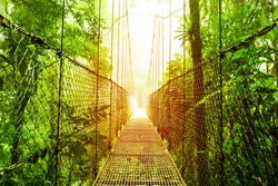 Picture of Arenal Hanging Bridges Ecological reserve, natural rainforest park, La Fortuna de San Carlos city, Costa Rica, Central America, footbridge in jungle, travel and tourism concept