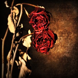 Grunge wilted roses over abstract dark old wallpaper background, floral red border with dried out flowers, retro vintage style photo, death concept