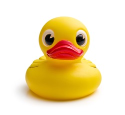 yellow bath duck on white background