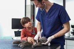 Male doctor showing how to examine cat
