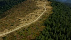 Aerial mountain woods road for tourists among peaceful hills forest growing. Rocky travel path drone view charming sequoia trees beautiful national park scene. Hilly spruces background concept